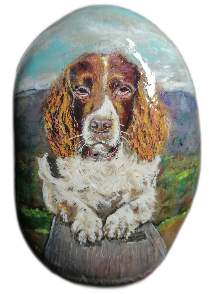 A portrait of a gorgeous springer spaniel called Max out in the lake district gifted to his pawrents when he passed away. Painted by Sue's Stones and Fine Art