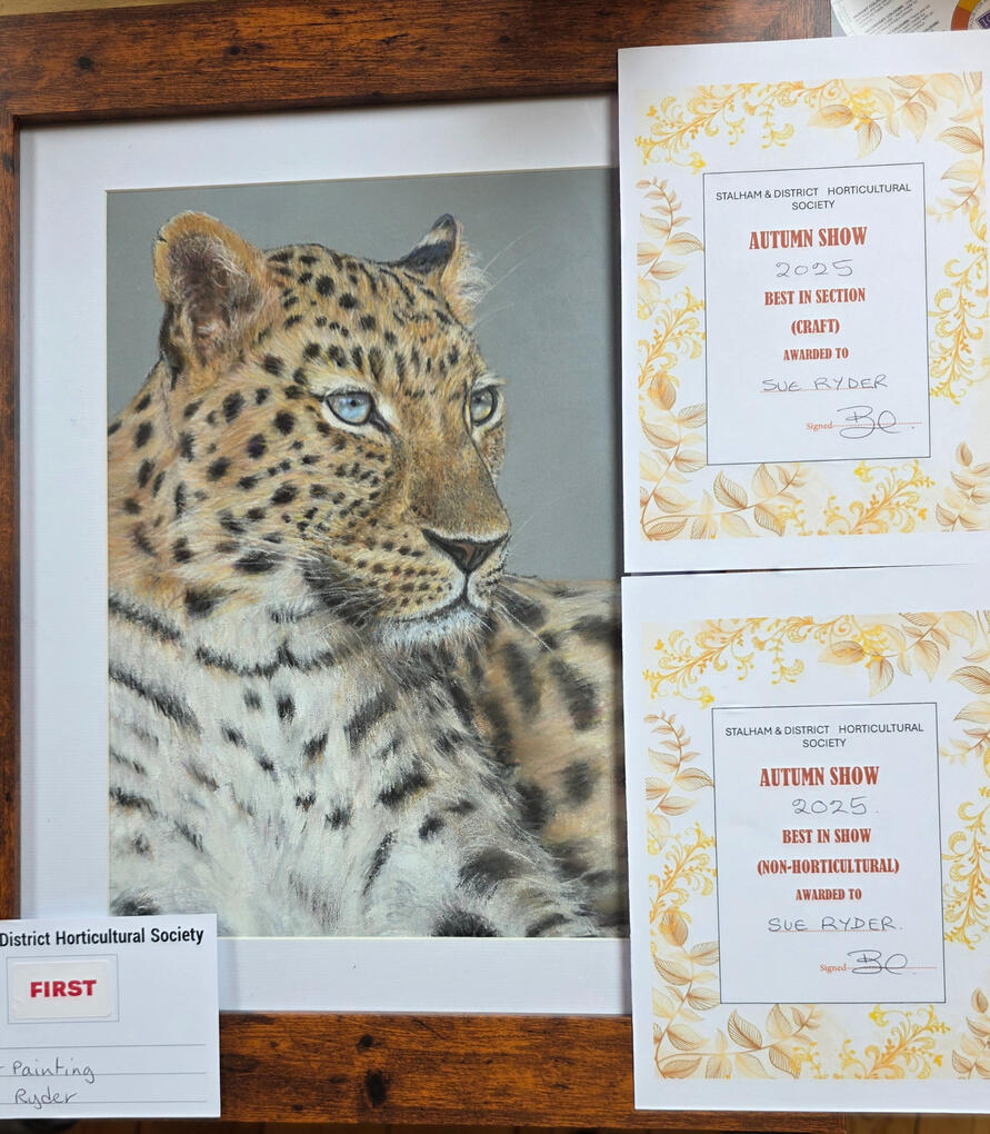 Amur Leopard drawing in Pastel with a little bit of black and white gouache for darks and lights, always watching with bluey green eyes. Winner of first place, best in craft and best in show at the Autumn Stalham and District Horticultural Society event.