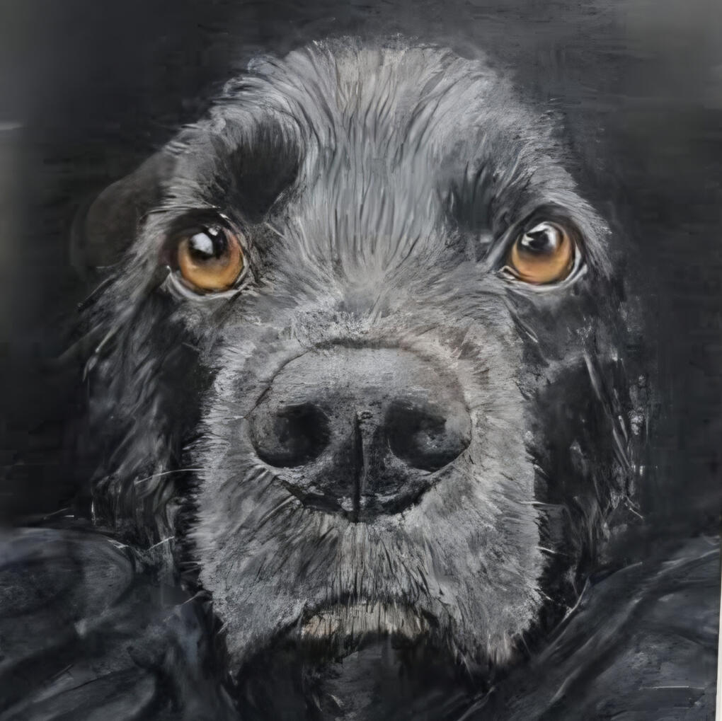 Ziggy pencil commission example